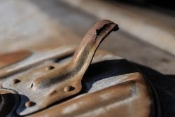 HD Rost